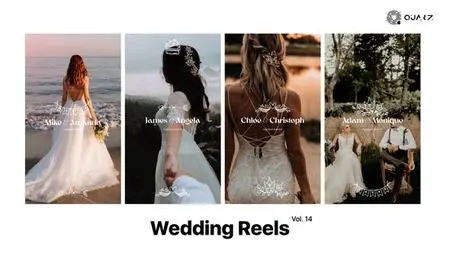 Wedding Reels Vol. 14 49308056