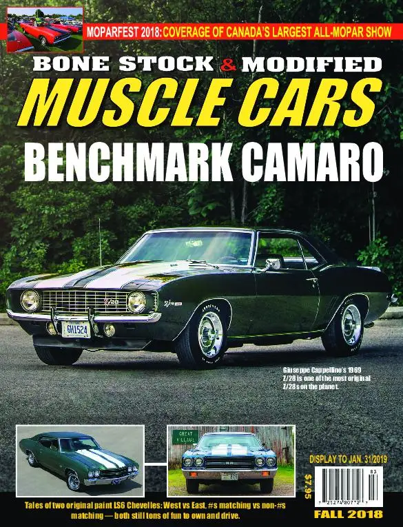 Bone Stock – October 2018