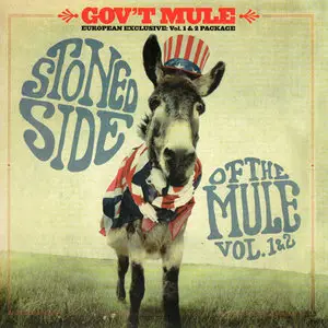 Gov't Mule - Stoned Side Of The Mule - Vol 1 & 2 (2015)