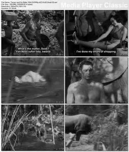 Tarzan and his Mate (1934)