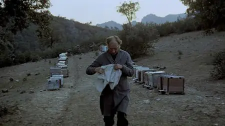 El espíritu de la colmena / The Spirit of the Beehive (1973)