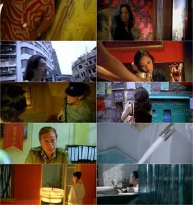 Colour Blossoms (2004)