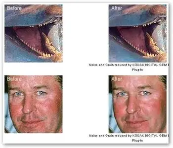 Kodak DIGITAL GEM Pro 2.1.0 For Photoshop