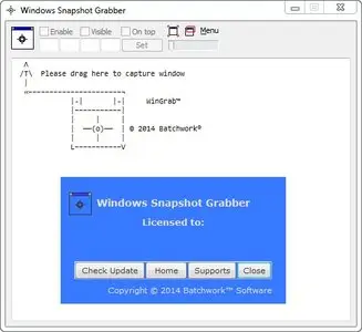 Windows Snapshot Grabber 2014.6.601.2156