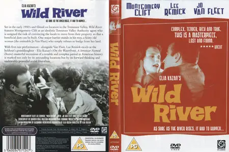 Wild River (1960)