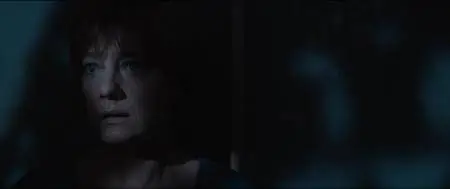 Naples in Veils (2017)