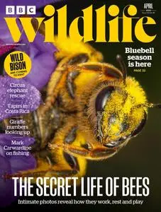 BBC Wildlife Magazine – March 2022
