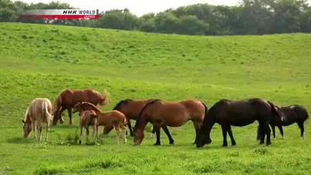 NHK - Cycle Around Japan: A Journey Across Hokkaido (2015