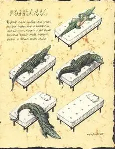 Codex Seraphinianus by  Luigi Serafini