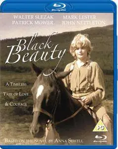 Black Beauty (1971)