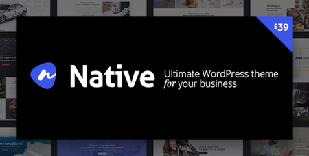 ThemeForest - Native v1.2.4 - Powerful Startup Development Tool - 19200310