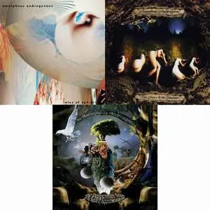 Amorphous Androgynous - 3 Albums (1993-2008)