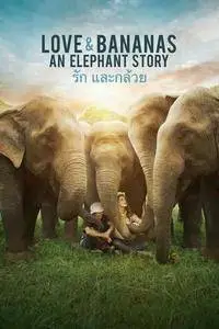 Love & Bananas: An Elephant Story (2018)