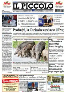 Il Piccolo TS/GO - 29.05.2015