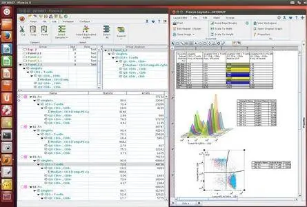 Treestar FlowJo 1.0.4 (x32)