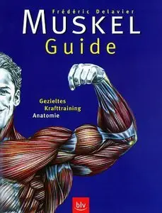 Muskel- Guide. Gezieltes Krafttraining. Anatomie (Repost)