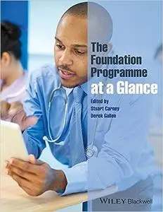 The Foundation Programme at a Glance