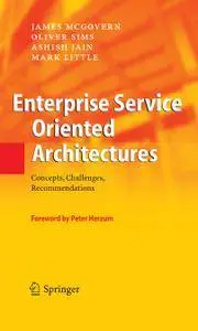 Enterprise Service Oriented Architectures: Concepts, Challenges, Recommendations (Repost)