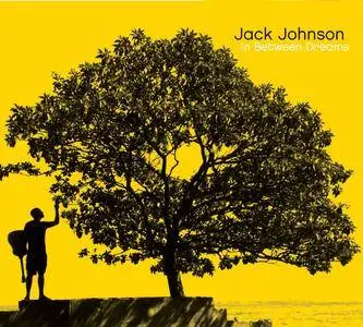 Jack Johnson - In Between Dreams (2005/2014) [Official Digital Download 24/96]