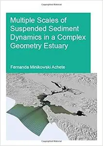 Multiple Scales of Suspended Sediment Dynamics in a Complex Geometry Estuary