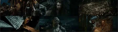 The Hobbit: The Desolation of Smaug (2013)