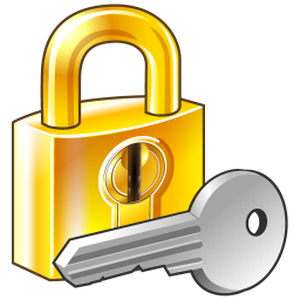 Password Depot Professional 6.2.2
