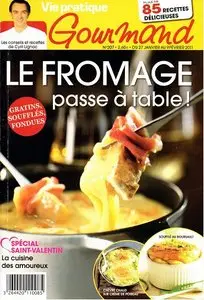 Vie Pratique Gourmand N°207 (27 janvier au 9 fevrier 2011)