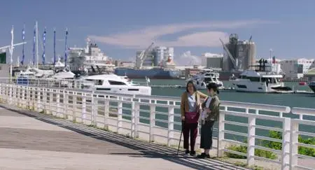 A Family Tour (2018)
