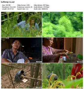 National Geographic - Wild: Rat Attack (2010)