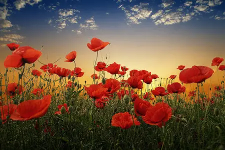 Amazing Landscapes by Albena Markova