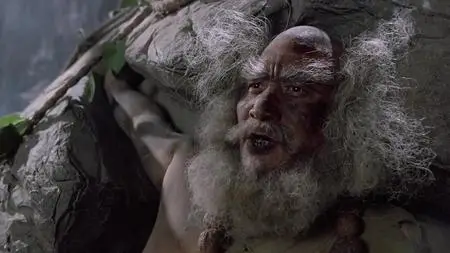 Yi tin to lung gei: Moh gaau gaau jue (1993)