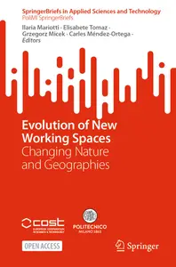 Evolution of New Working Spaces: Changing Nature and Geographies (PoliMI SpringerBriefs)