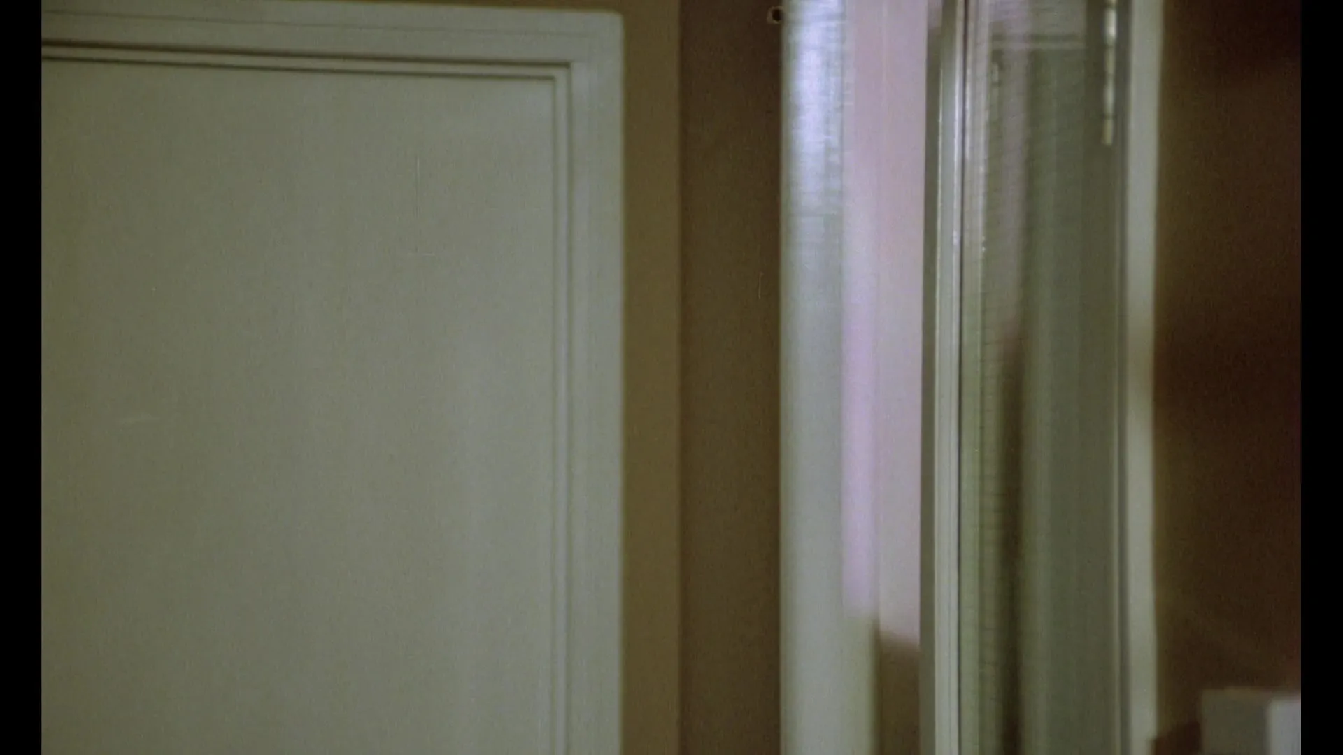 The Playbirds (1978)