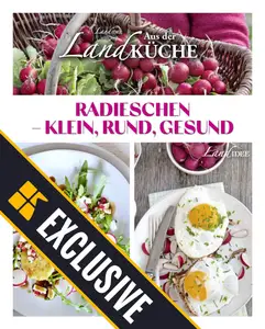 LandIDEE LandKüche - 21 Juni 2025