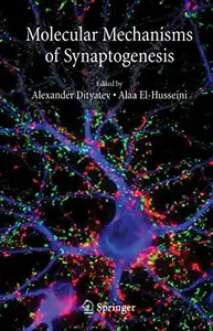 Molecular Mechanisms of Synaptogenesis