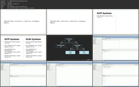 Oracle Datenbanken: Perfomance-Optimierung