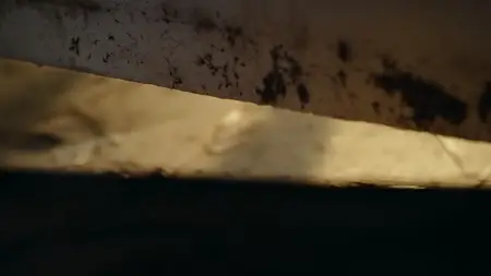 Nightmares of Nature S01E02