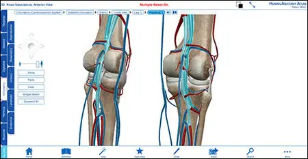 Visible Body Human Anatomy Atlas v3.0.1 Mac OS X (Repack)