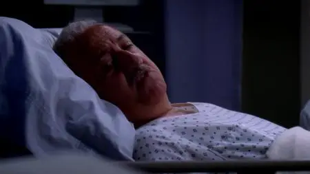 Grey's Anatomy S06E14