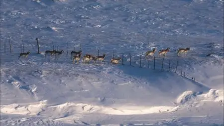 PBS - Great Plains: America's Lingering Wild (2013)