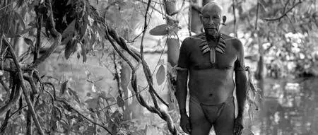 Embrace of the Serpent / El abrazo de la serpiente (2015)