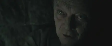 Harry Potter and the Deathly Hallows: Part I (2010)