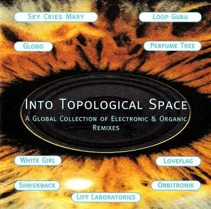 VA - Into Topological Space (A Global Collection Of Electronic & Organic Remixes) (1996)