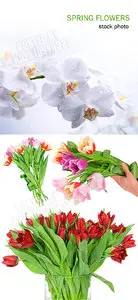 Spring flowers 16