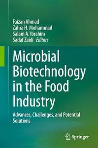 Microbial Biotechnology in the Food Industry: Advances, Challenges, and Potential Solutions