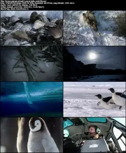 David Attenborough Frozen Planet S01E05 UNCUT