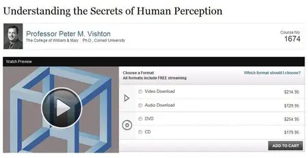 Understanding the Secrets of Human Perception