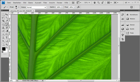 Galileo Design - Das Photoshop-Training für digitale Fotografie: Naturfotografie