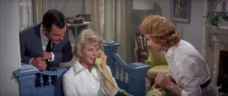 That Touch of Mink (1962)
