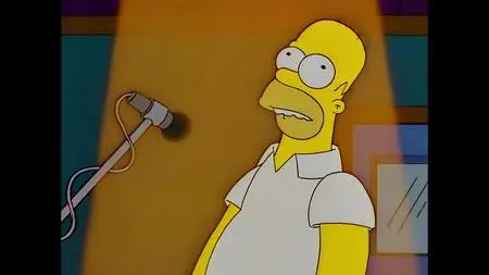 Die Simpsons S08E14